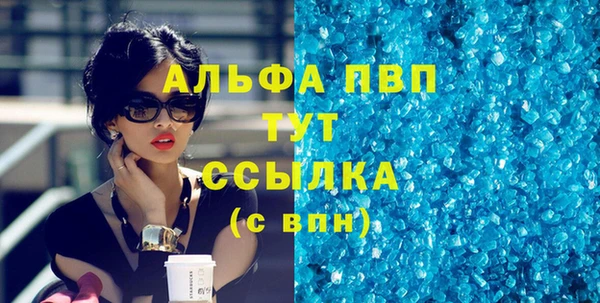 гашик Бородино