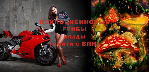 экстази Богданович